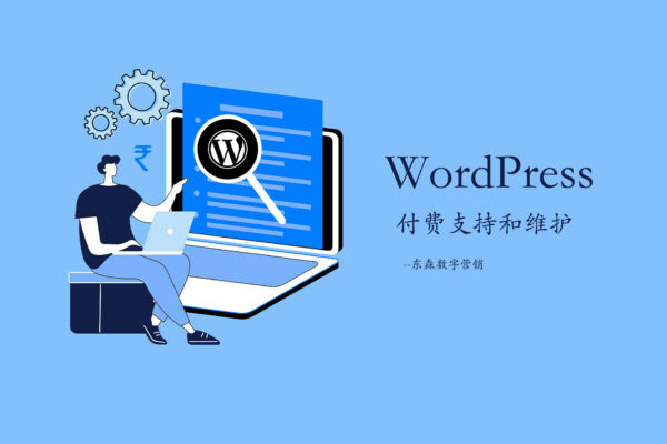 WordPress付费技术支持